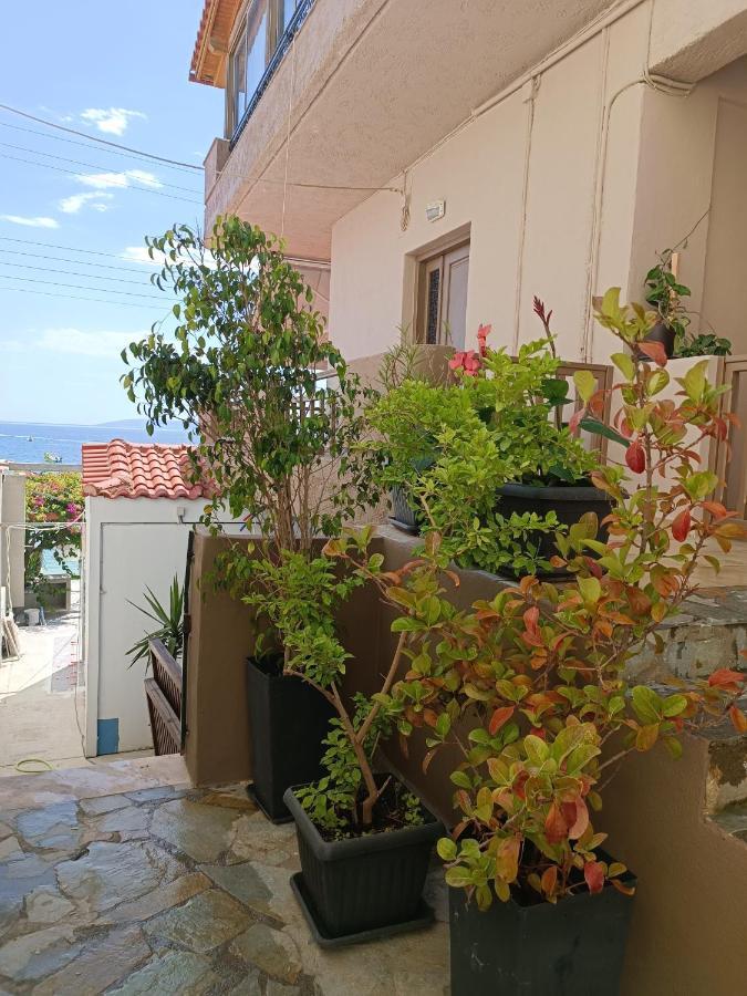 Buganvilla Sea View Apts Agia Pelagia  Luaran gambar